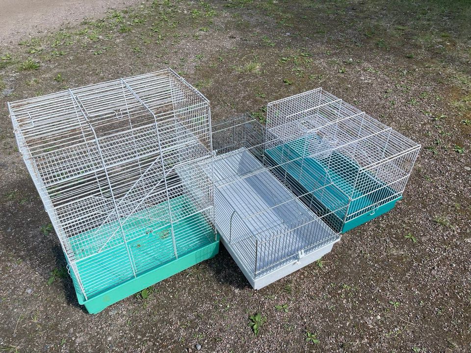 Hamsterin tai muun jyrsijän häkki