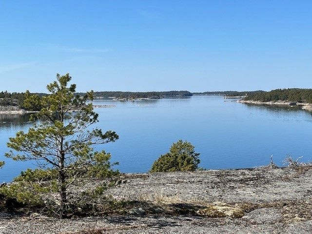 Uistelualueet, verkkokalastus