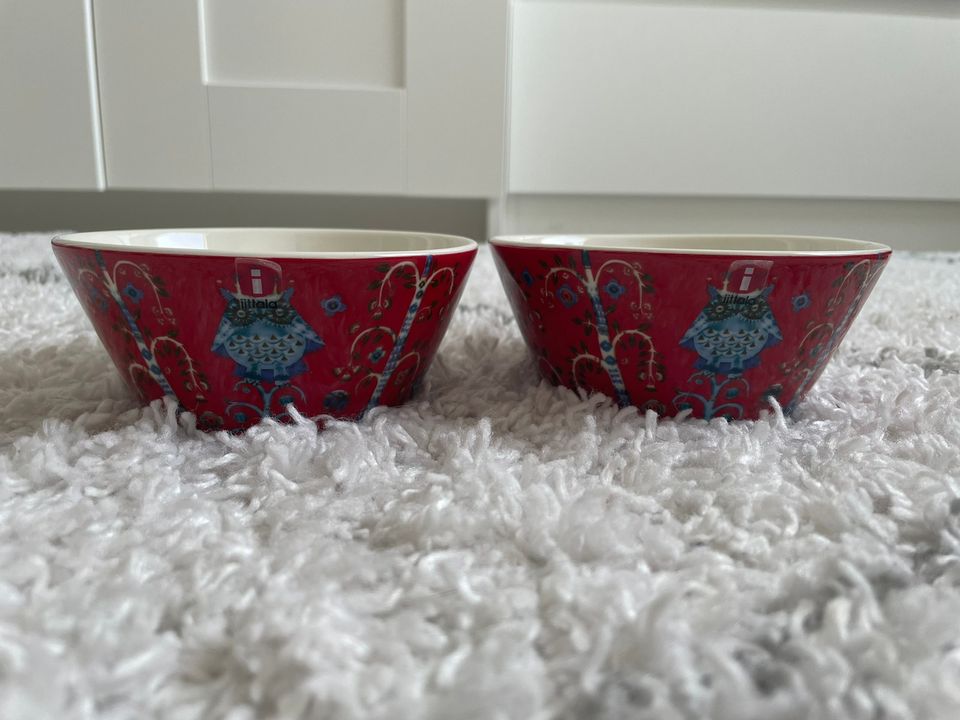 Uudet Iittala Taika 3dl kulhot