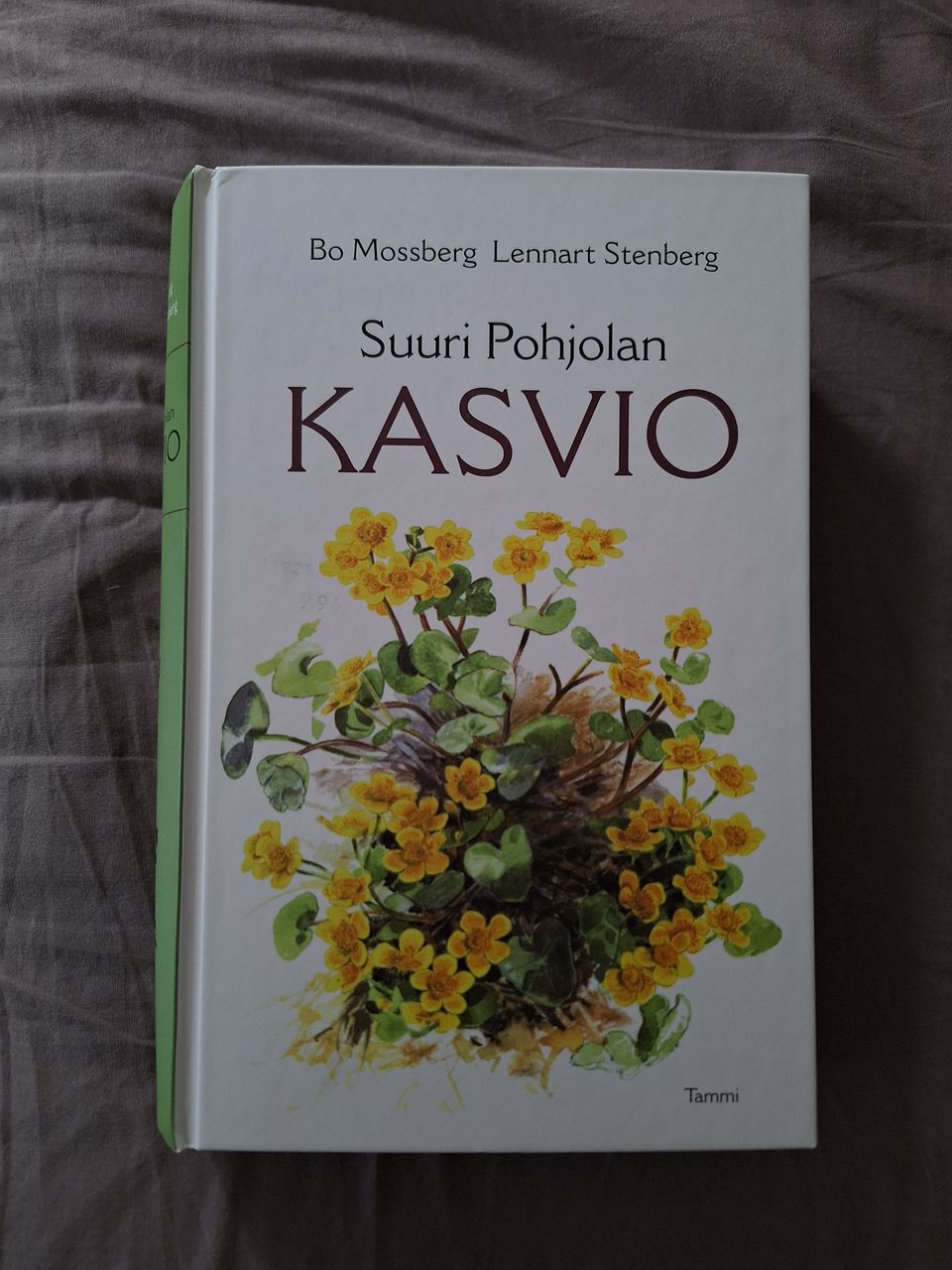 Suuri pohjolan kasvio