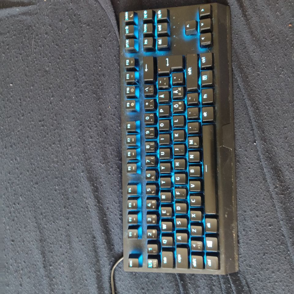 Razer Blackwidow v3 TKL