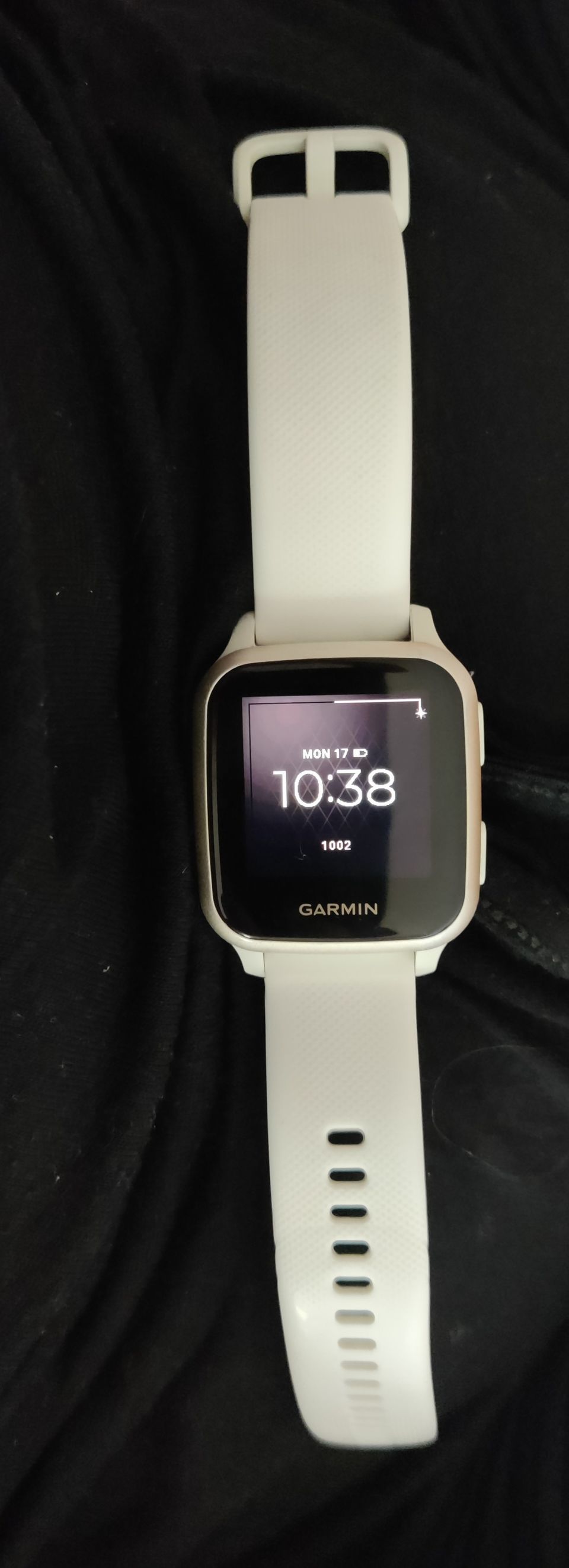 Garmin venu