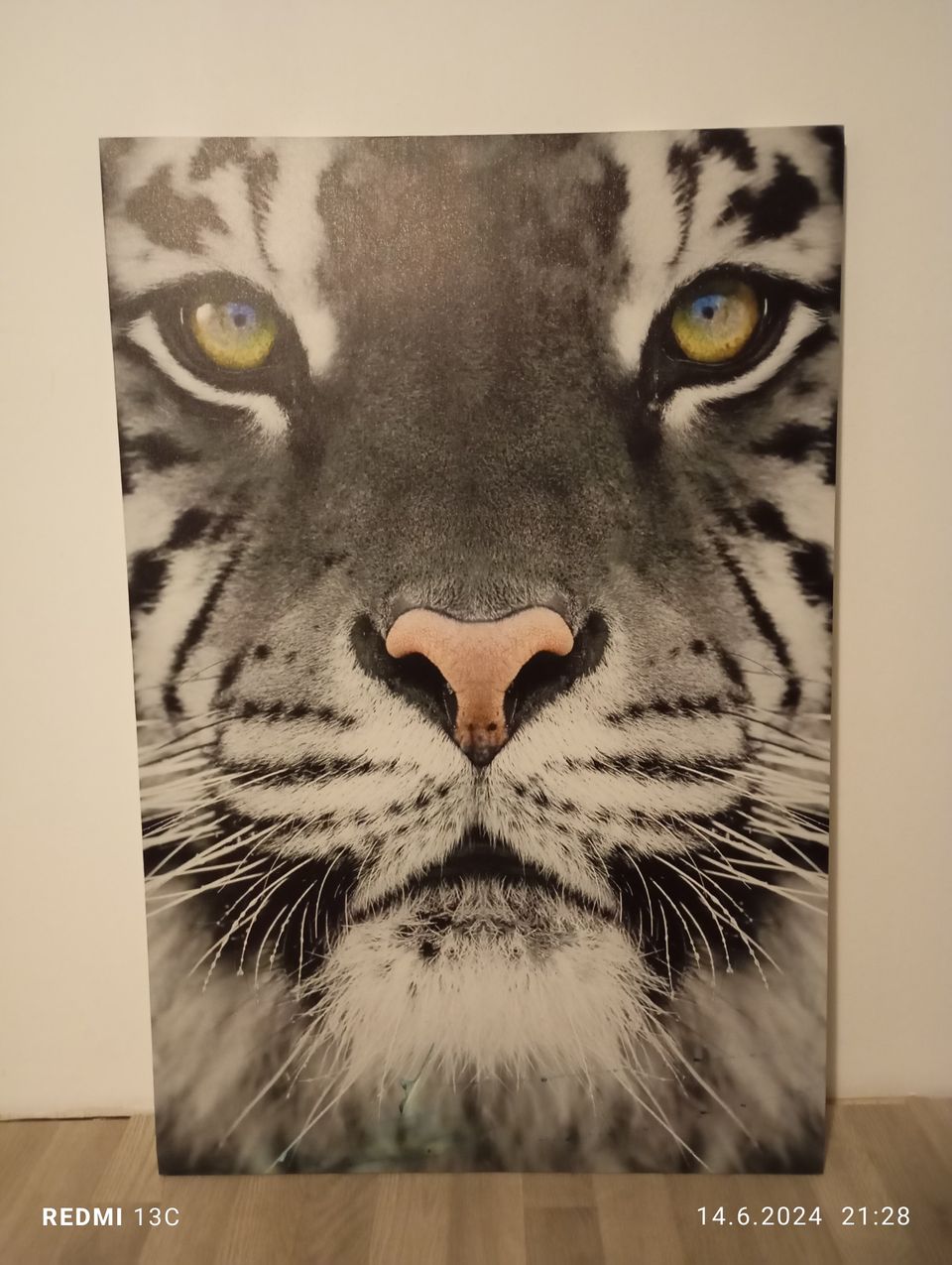 Tiikeri canvas taulu