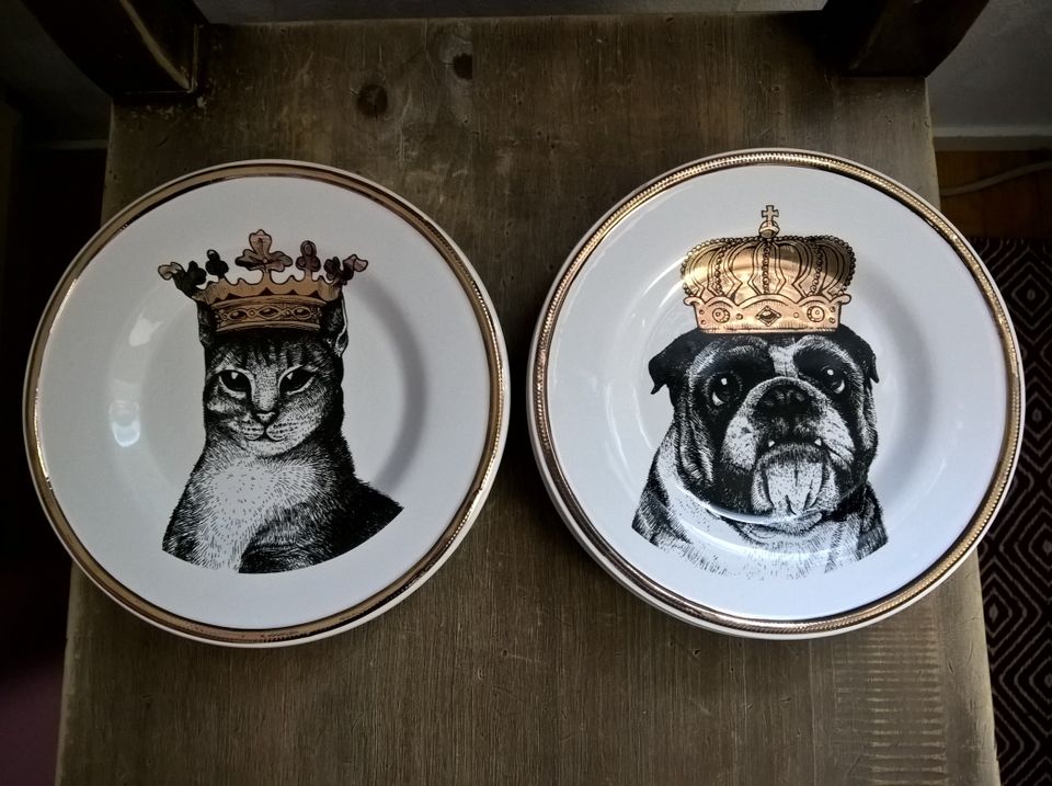 Uudet upeat koira & kissa kuningas lautaset (6kpl)