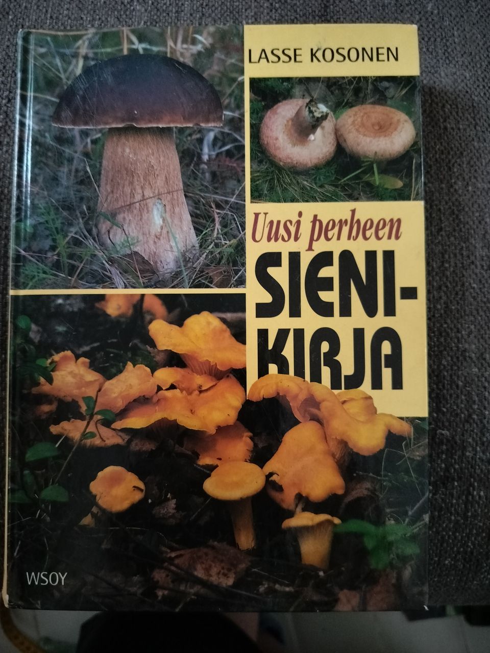 Uusi perheen sienikirja (Lasse Kosonen) 1994