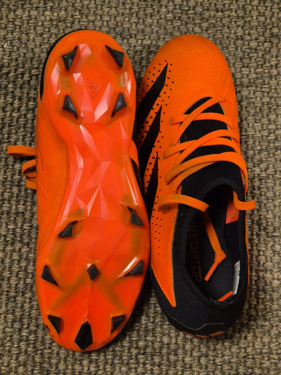 Adidas predator  koko 37,5