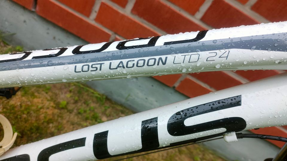 Focus lost lagoon ltd 24 hybridi 28"