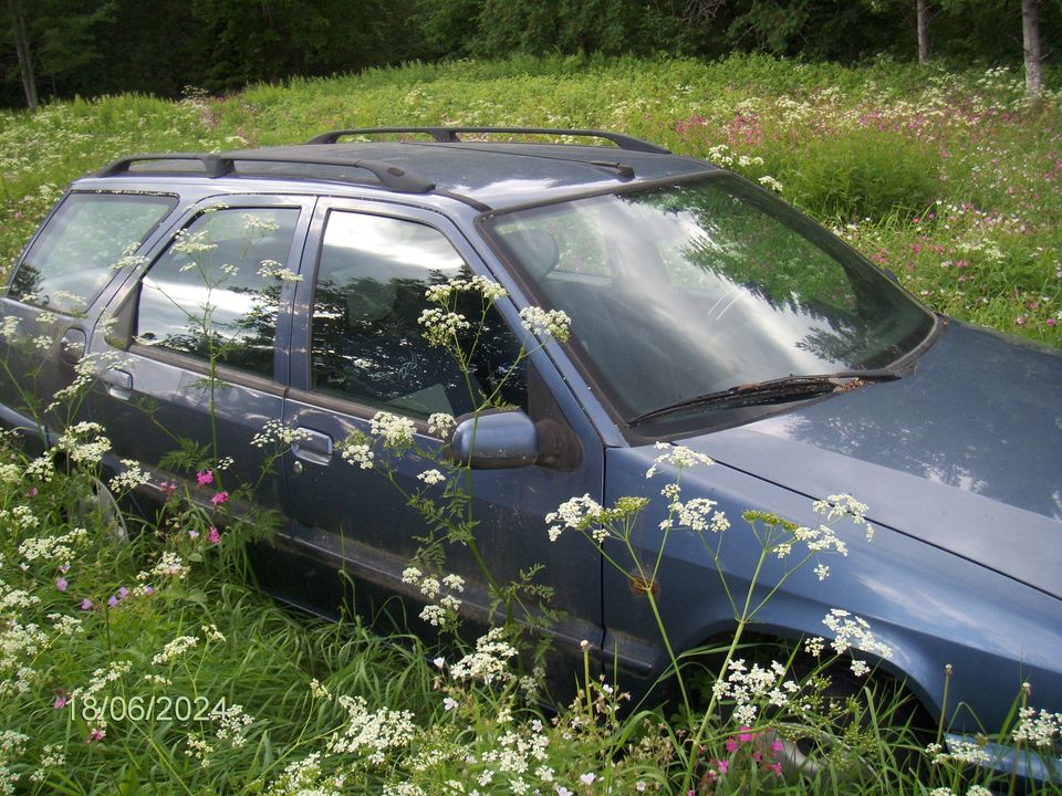 Citroen zx osia