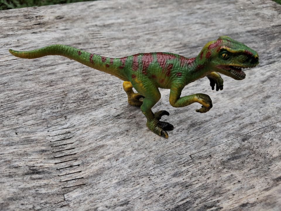 Schleich dinosaurus