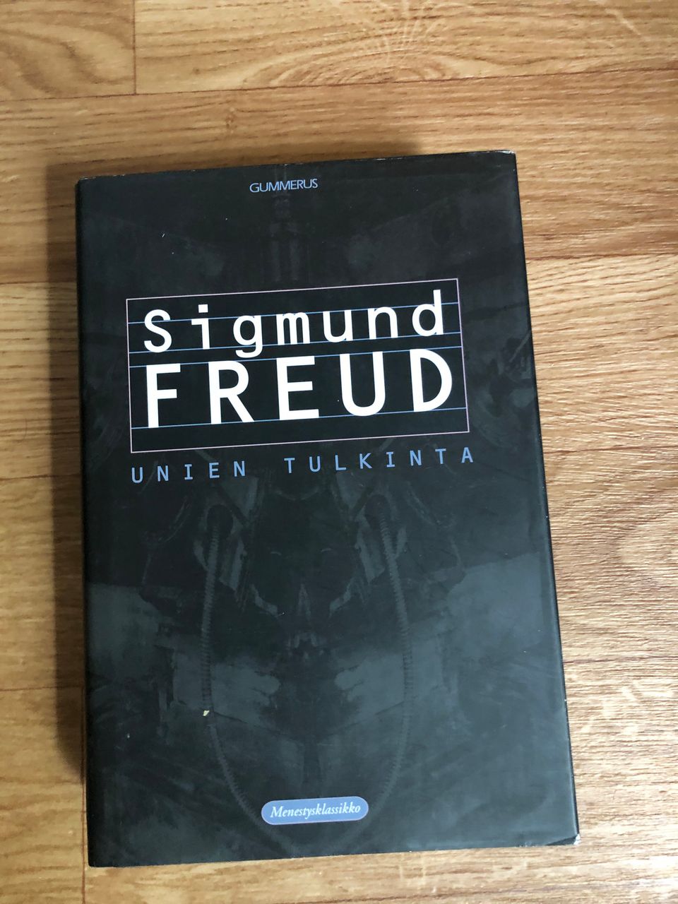 Sigmund Freud: Unien tulkinta