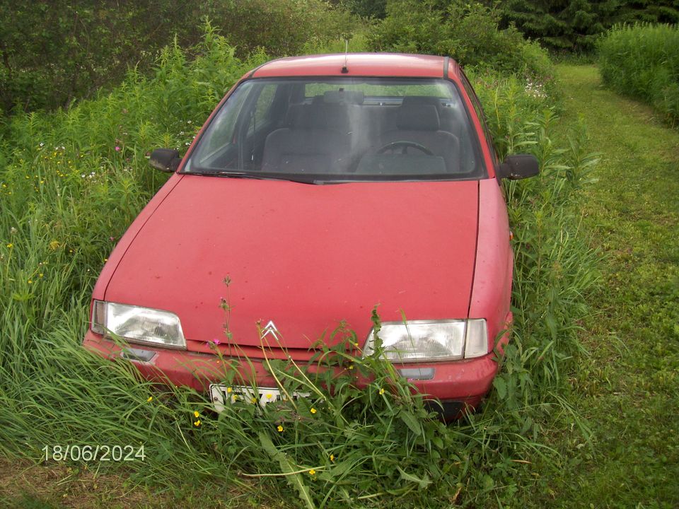 Citroen ZX osia