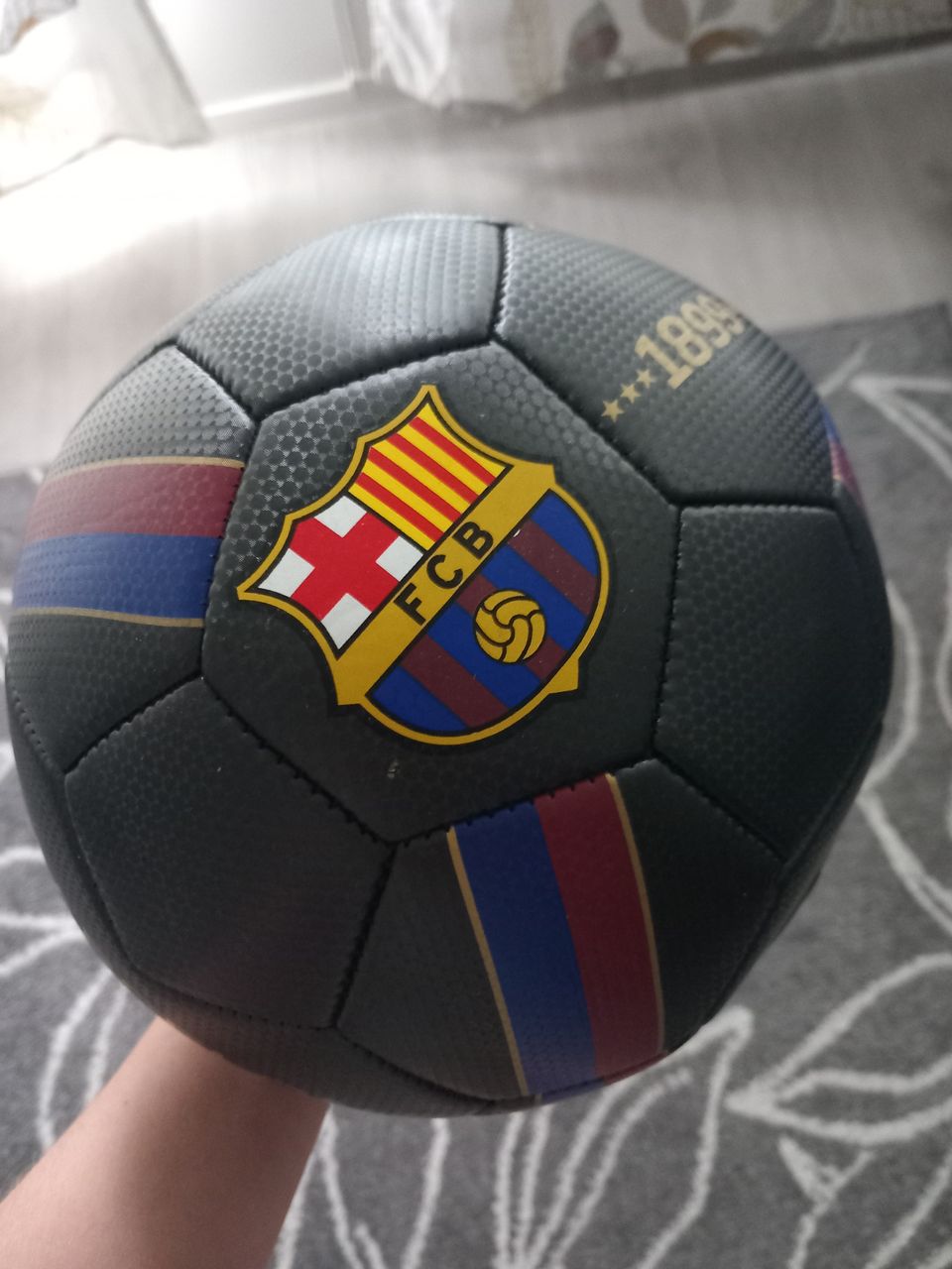 Fc Barcelona pallo