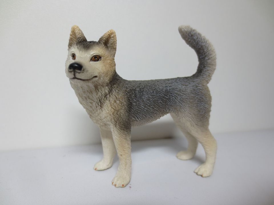 Schleich Husky