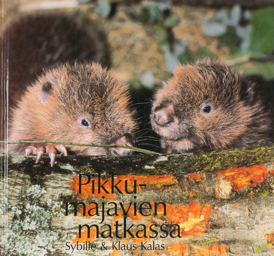 Pikkumajavien matkassa