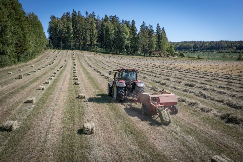 Kuivaa heinää pienpaaleissa