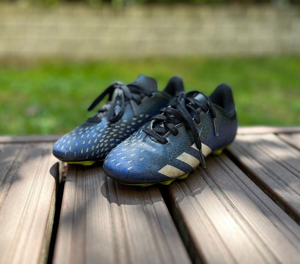 Adidas Predator nappikset (31)