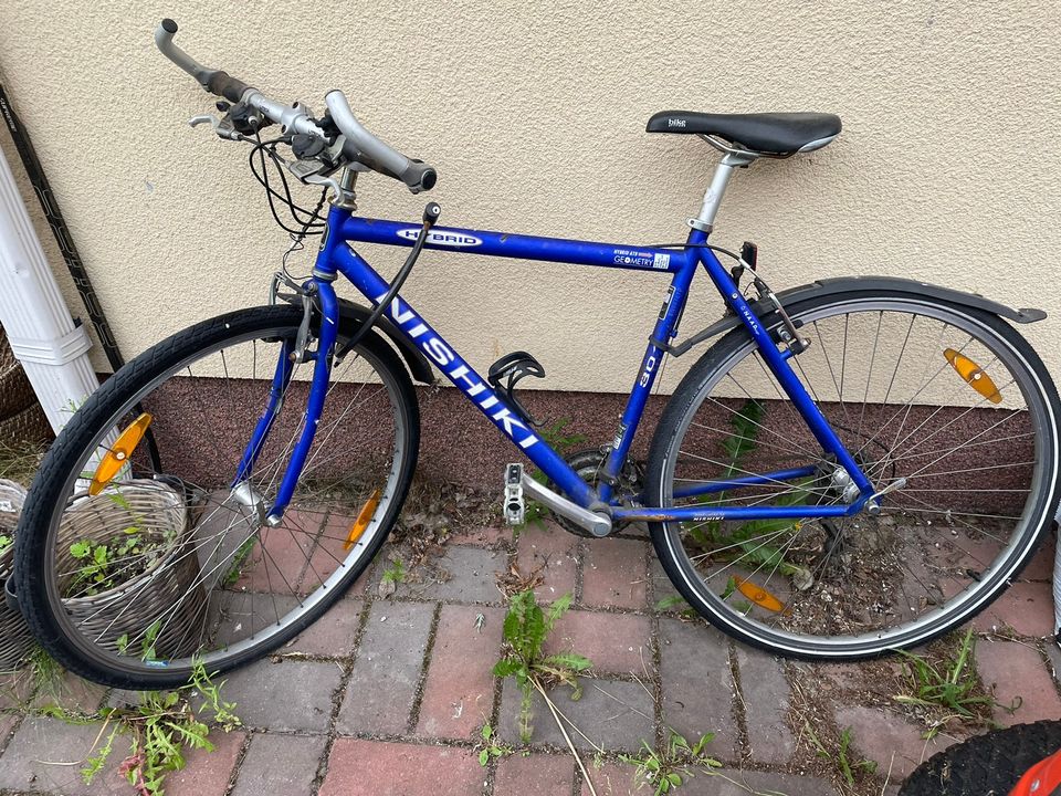 Nishiki Hybrid 301 (20”)