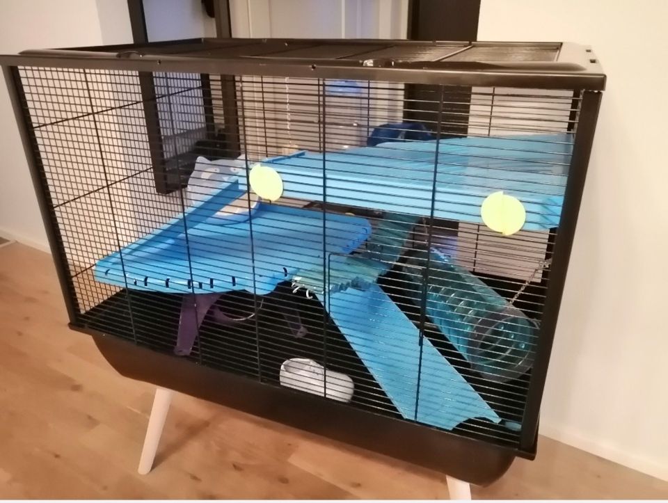 Hamsterin/rottien häkki