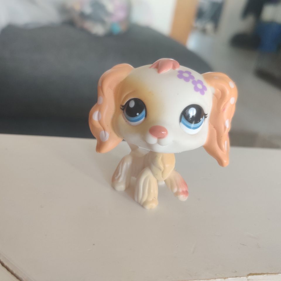 Littlest pet shop