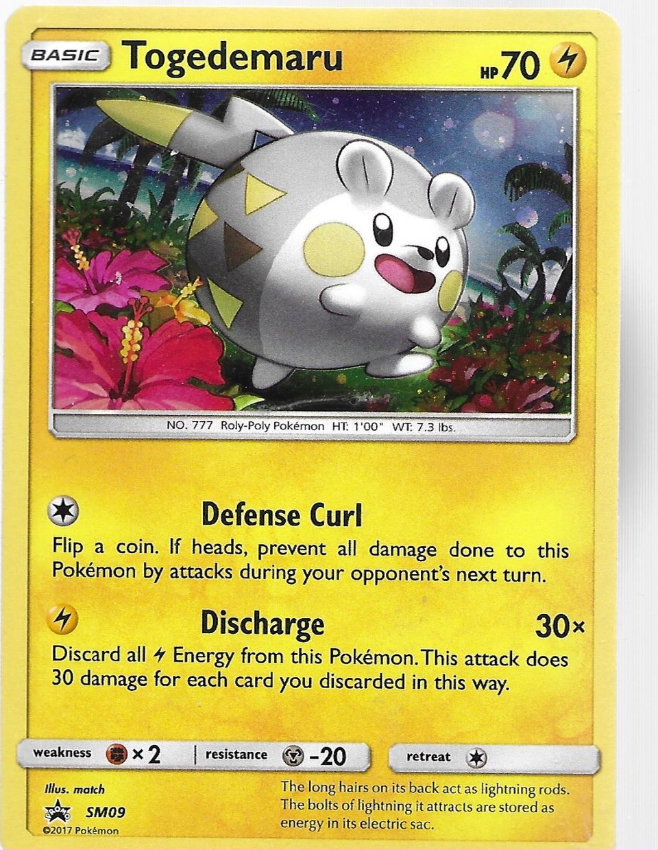 Togedemaru - Sm09 - Holo Promo Sun And Moon Pokemon Card