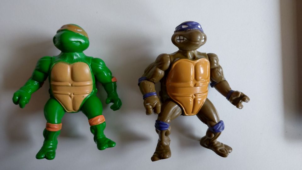 Turtles