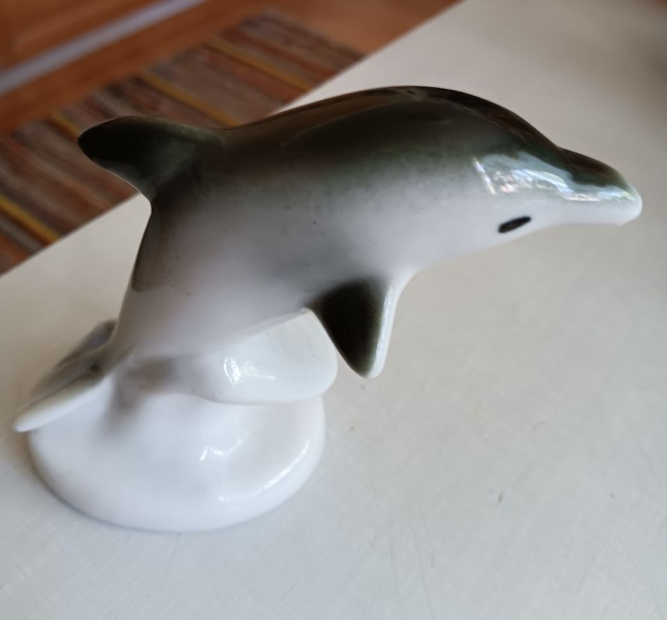 Lomosovin Delfiini