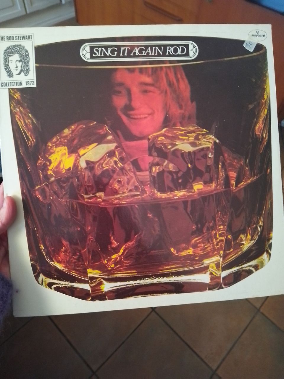 Rod Stewart vinyyli