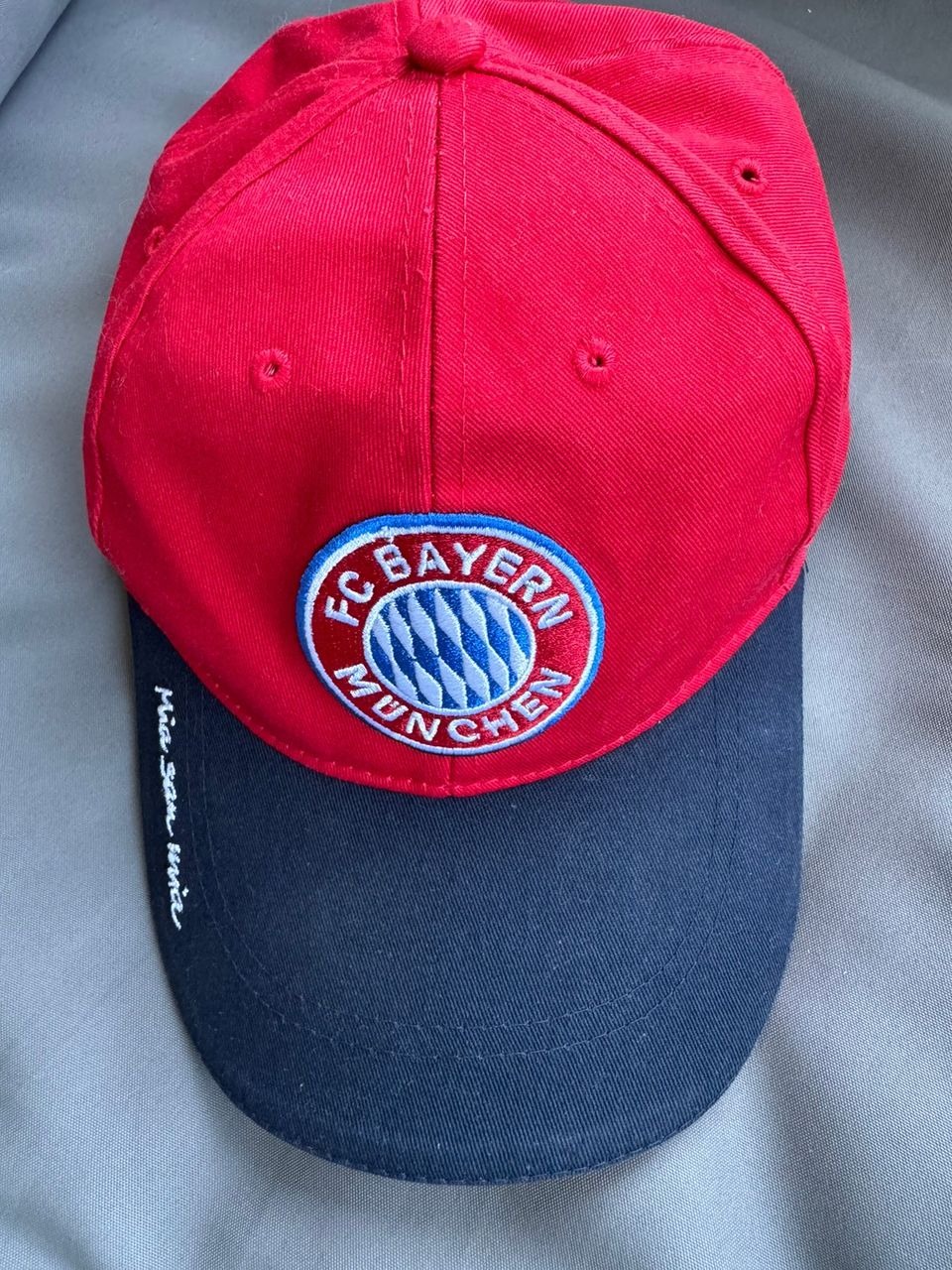 Bayern Munchen lippis