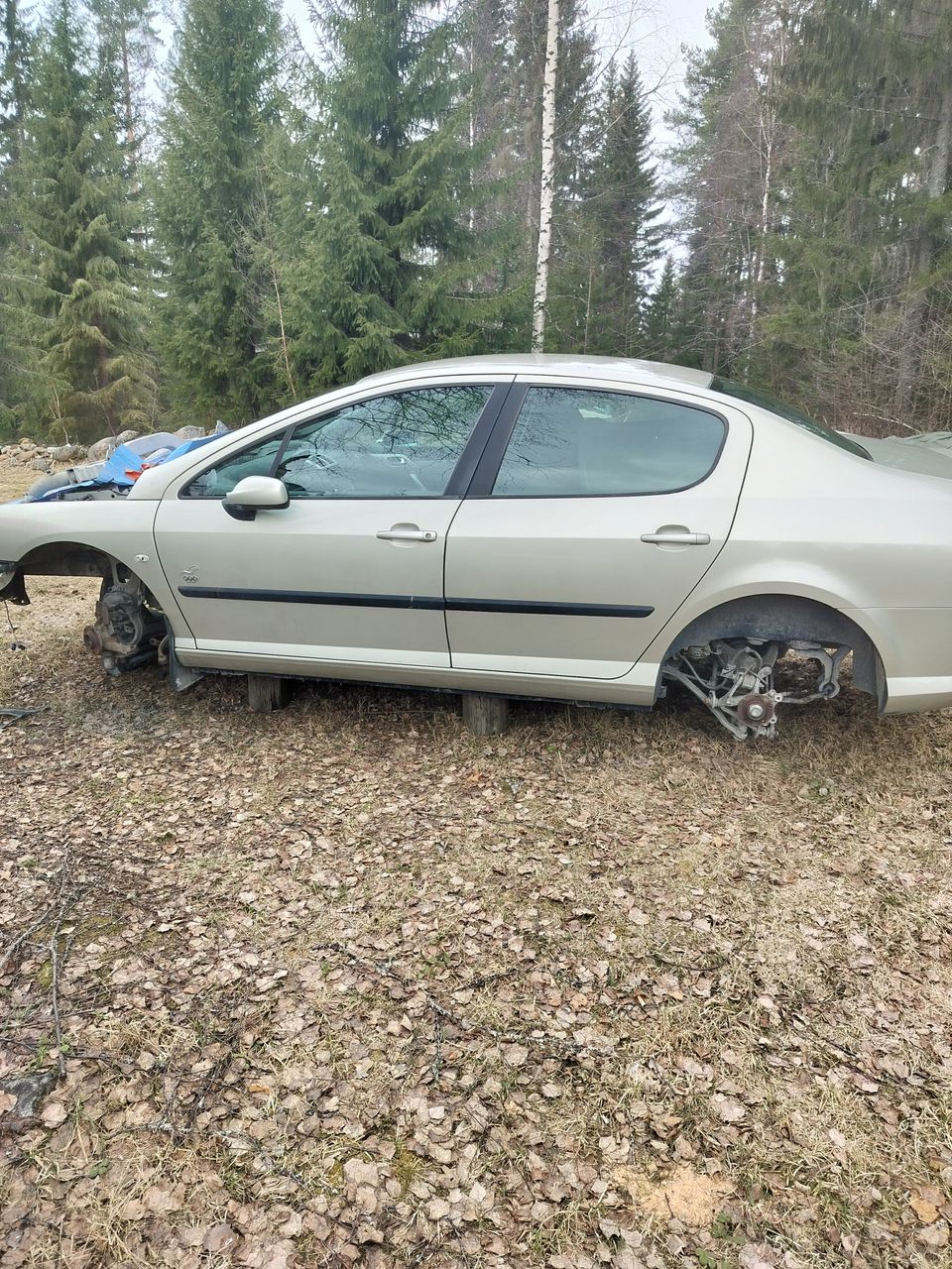 Peugeot 407