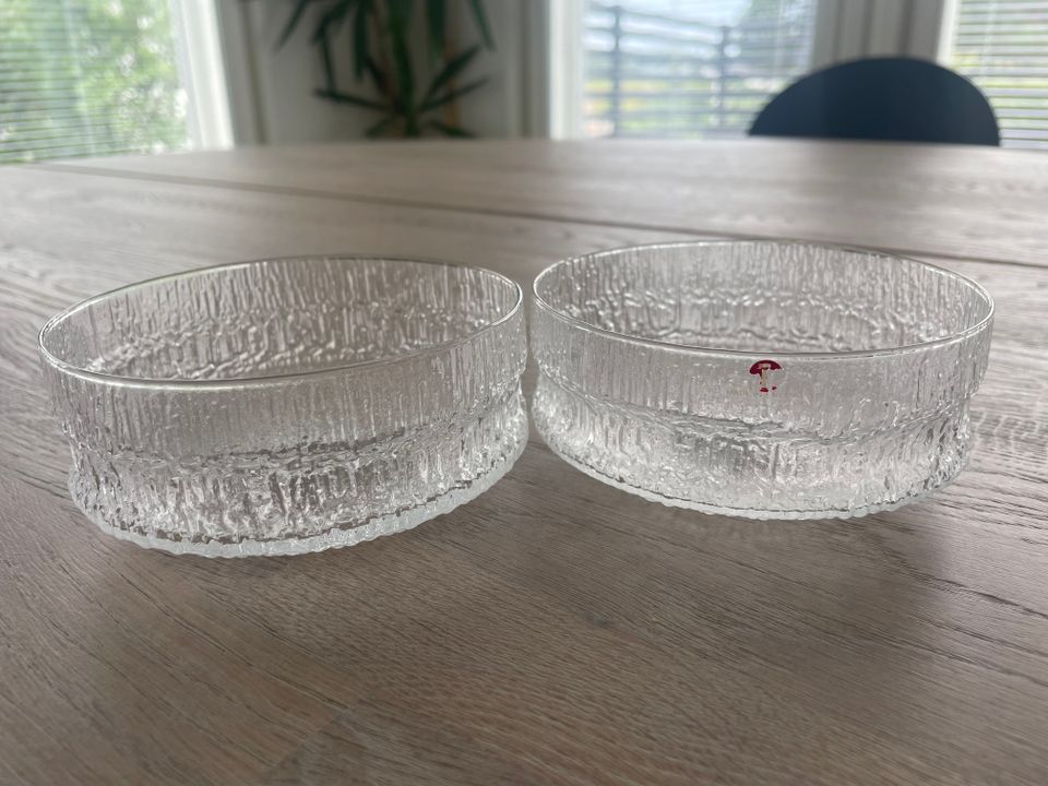 Paadar Iittala 2 kpl jälkiruokakulhoja