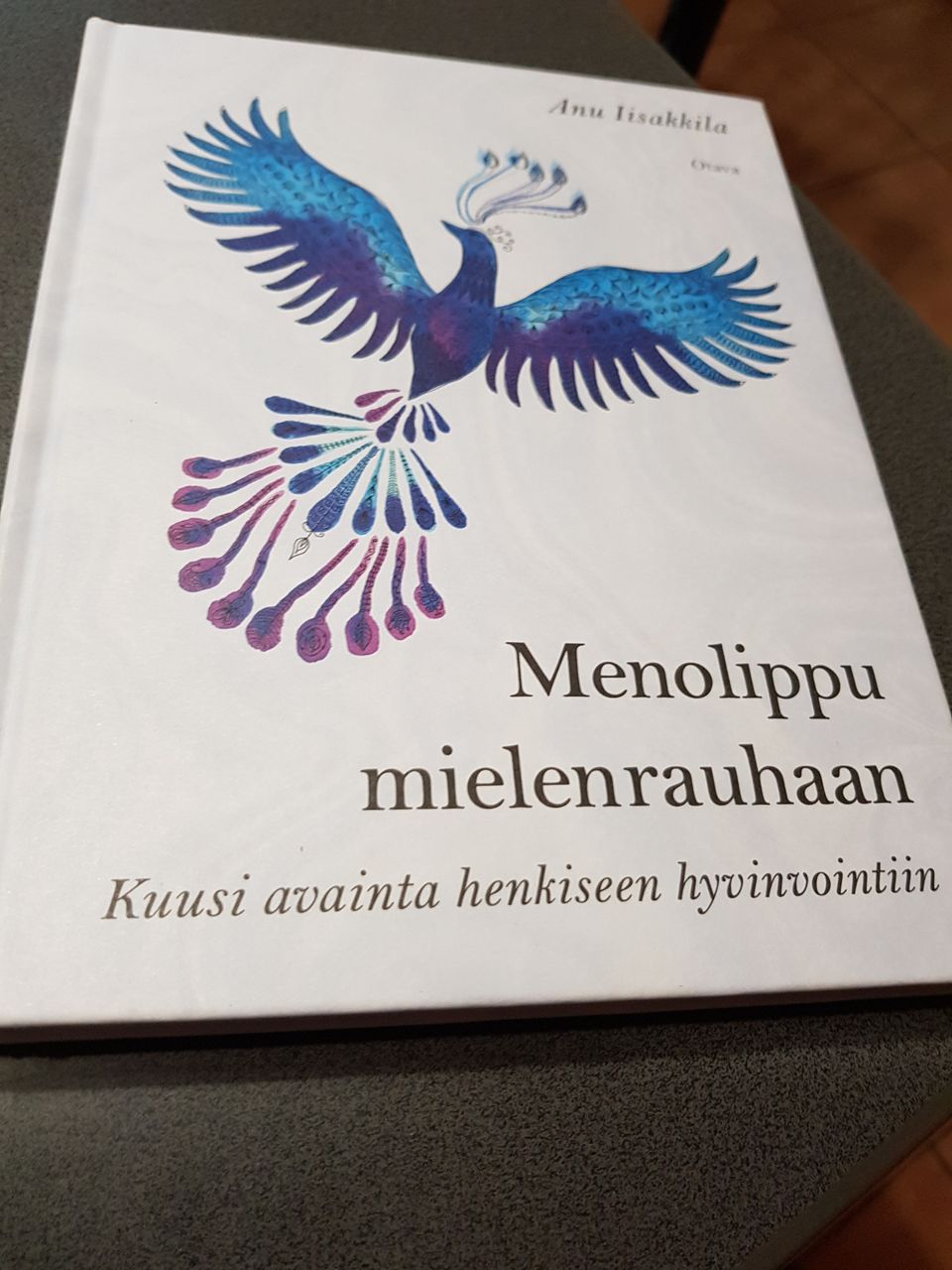 Menolippu mielenrauhaan. Anu Iisakkila.