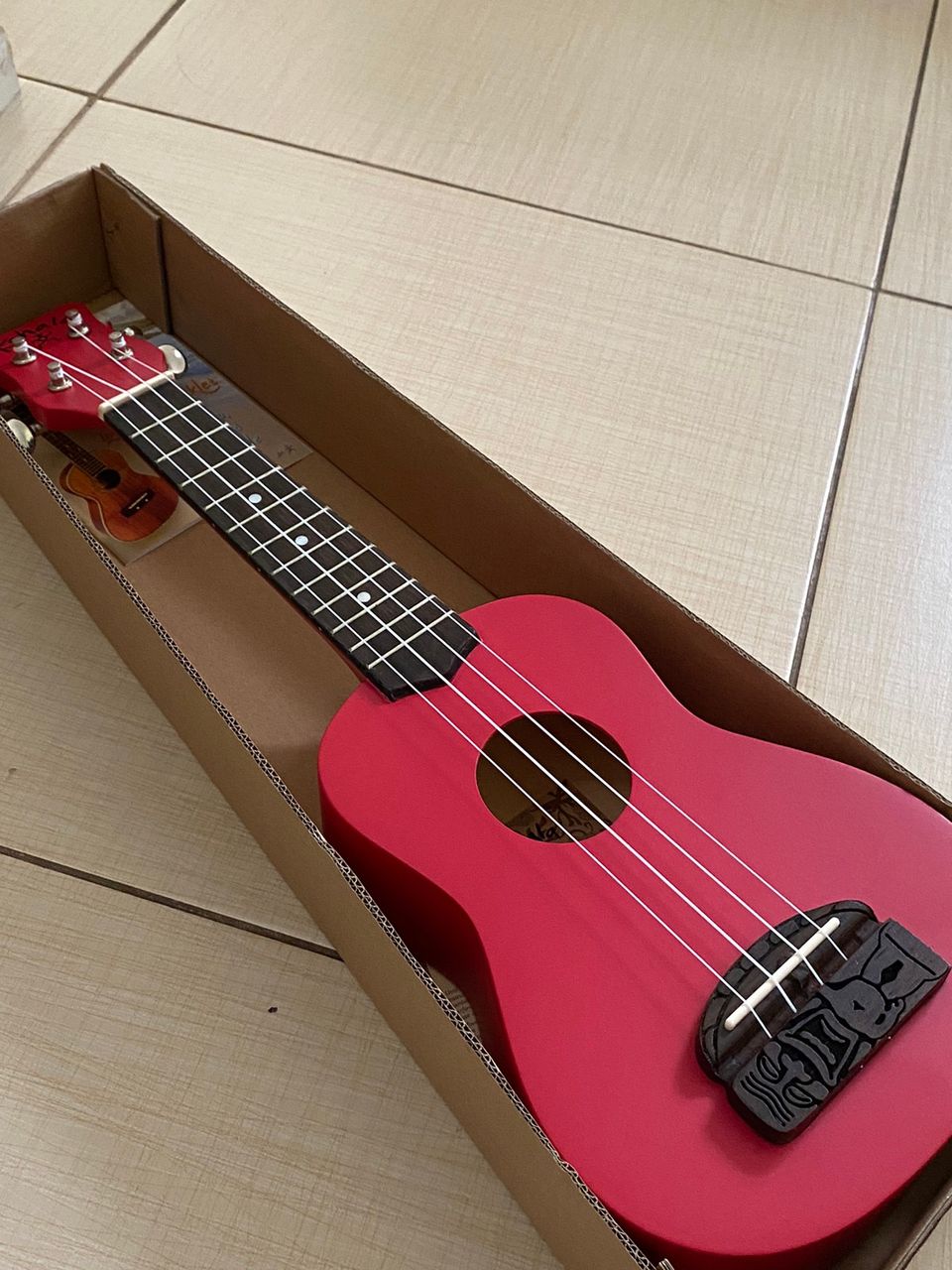 Pinkki ukulele pakkauksessa.