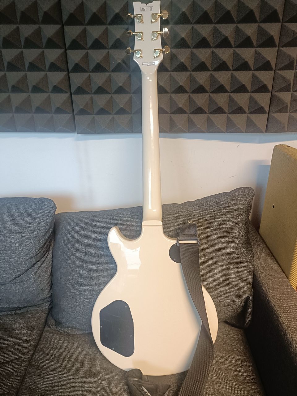 Ibanez Ar220