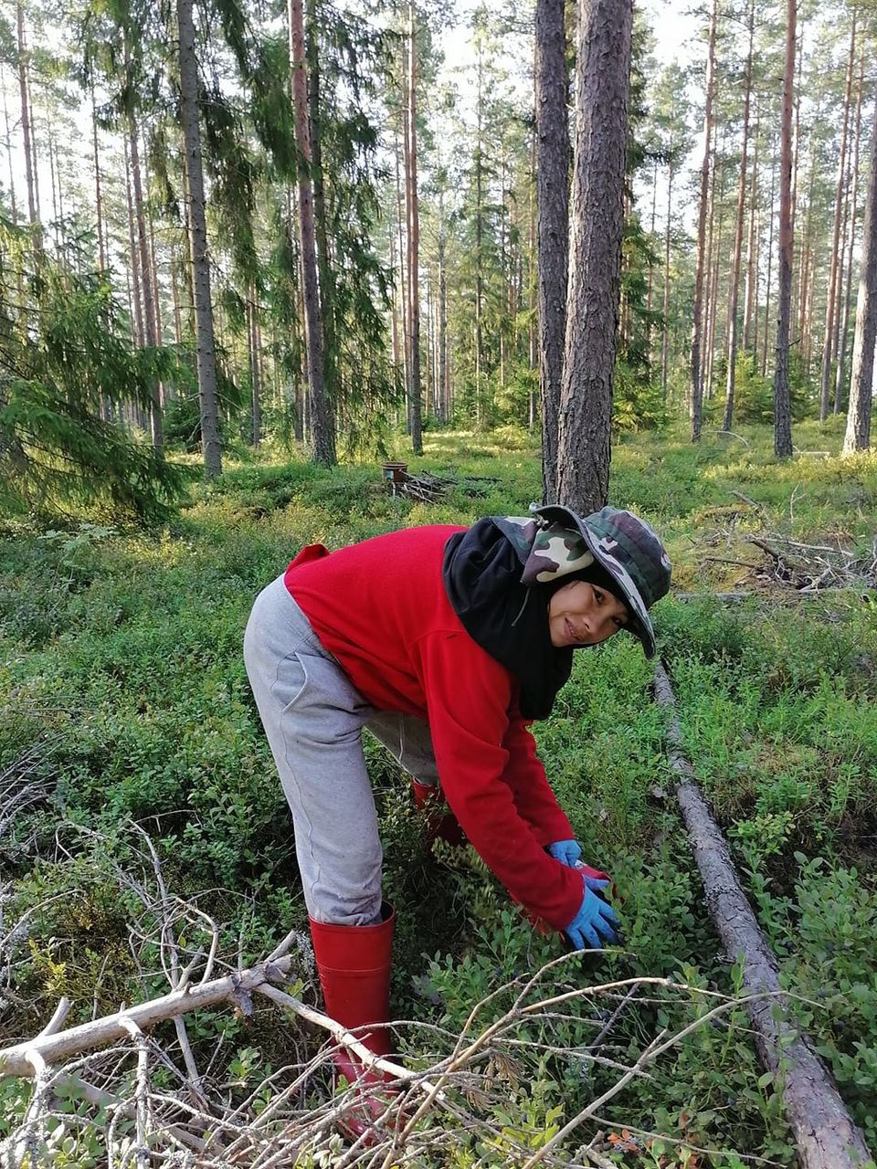 Ilmoituksen kuva