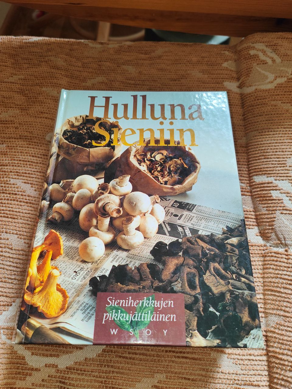 Hulluna sieniin