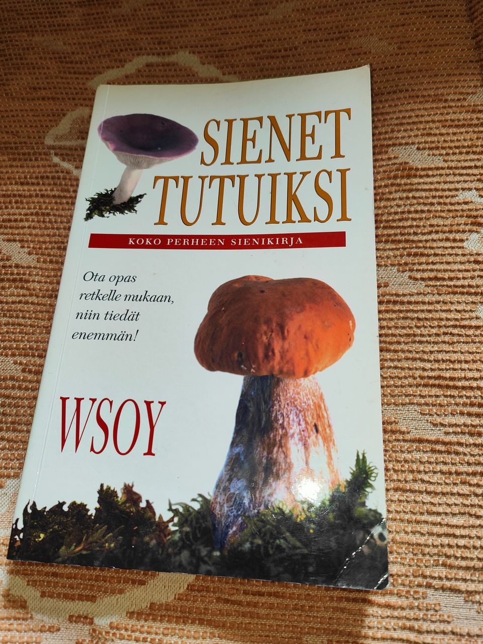 Sienet tutuiksi