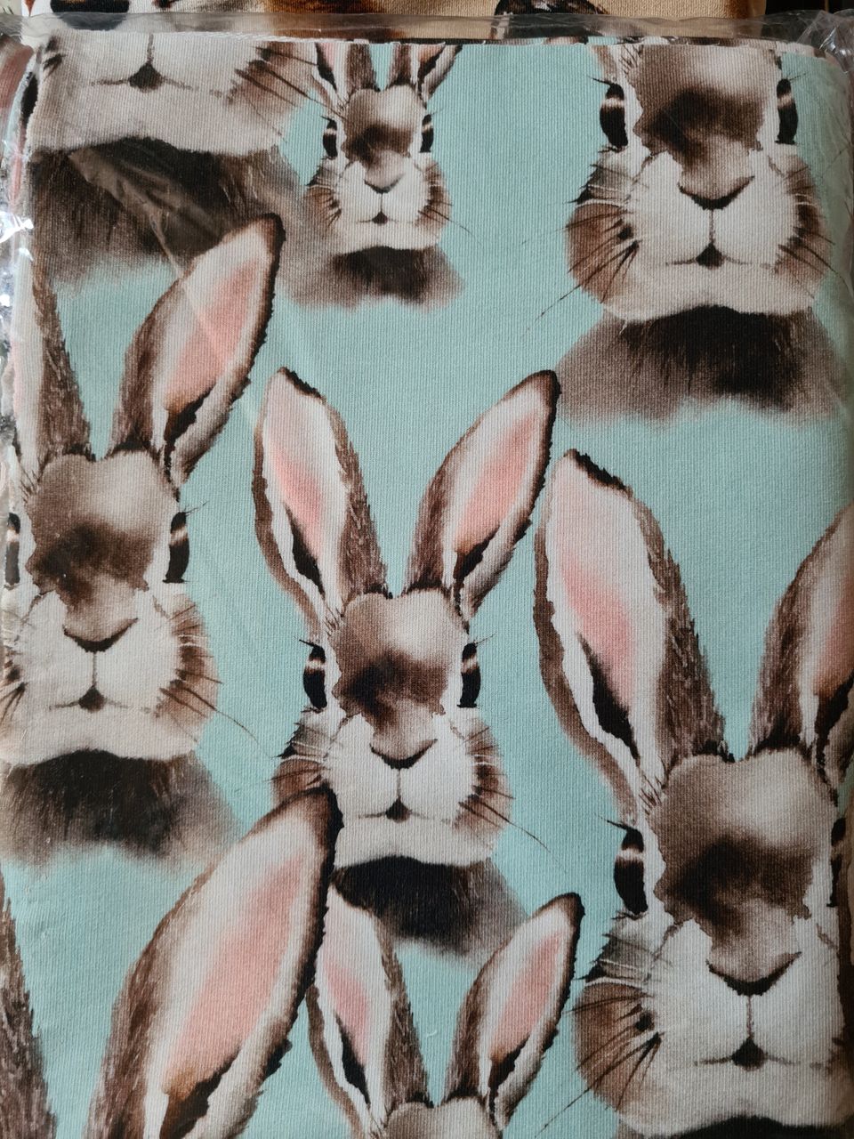 Metsola bunny blue joustocollege