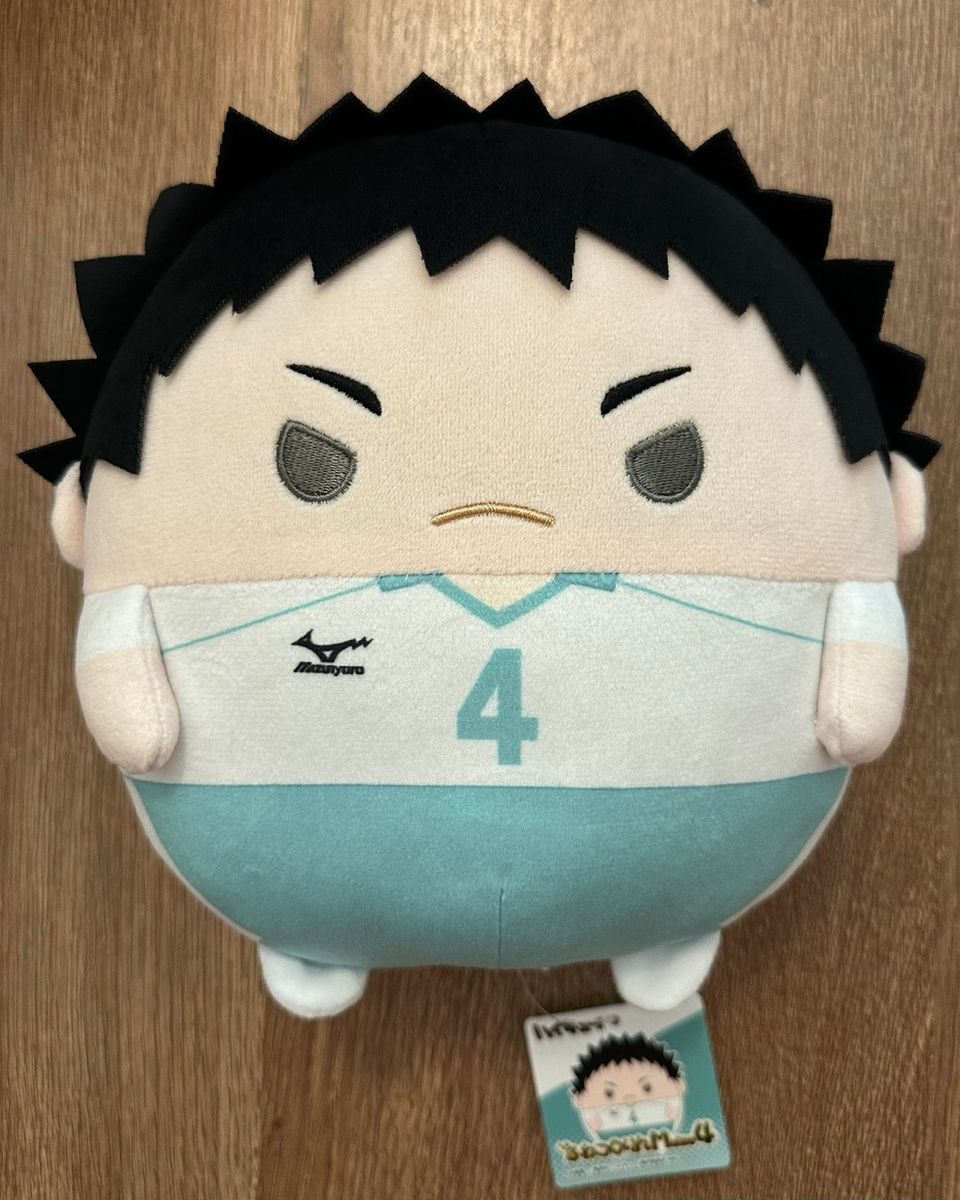 Haikyuu!! Iwaizumi Hajime fuwakororin pehmo (M)