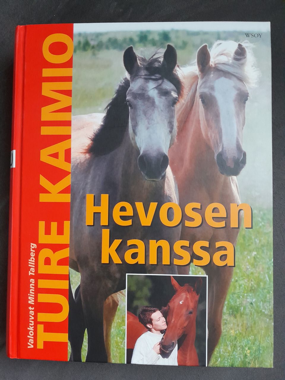 Hevosen kanssa (Tuire Kaimio, 2004)