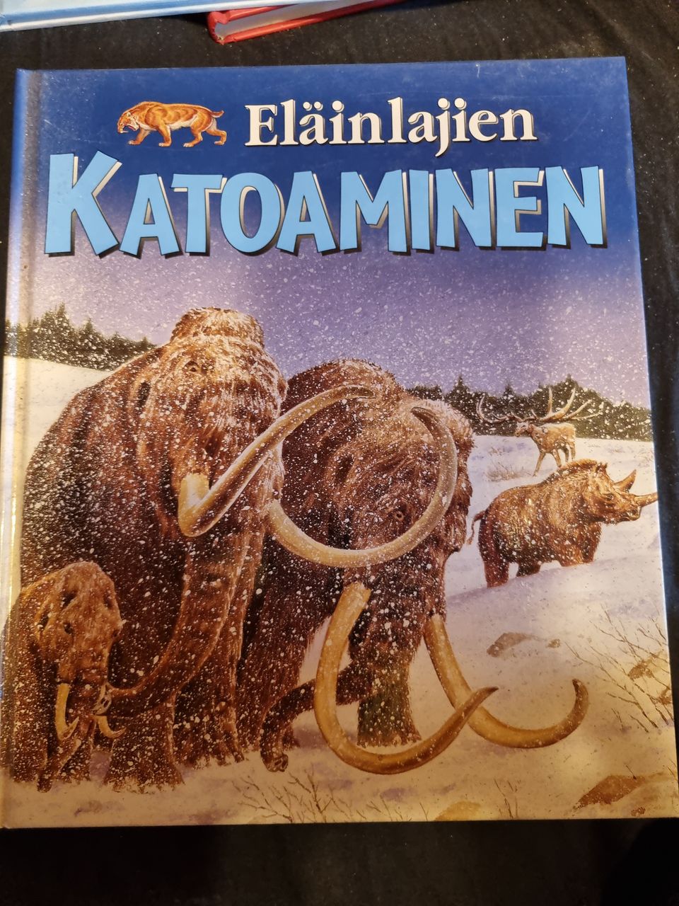 Ilmoituksen kuva