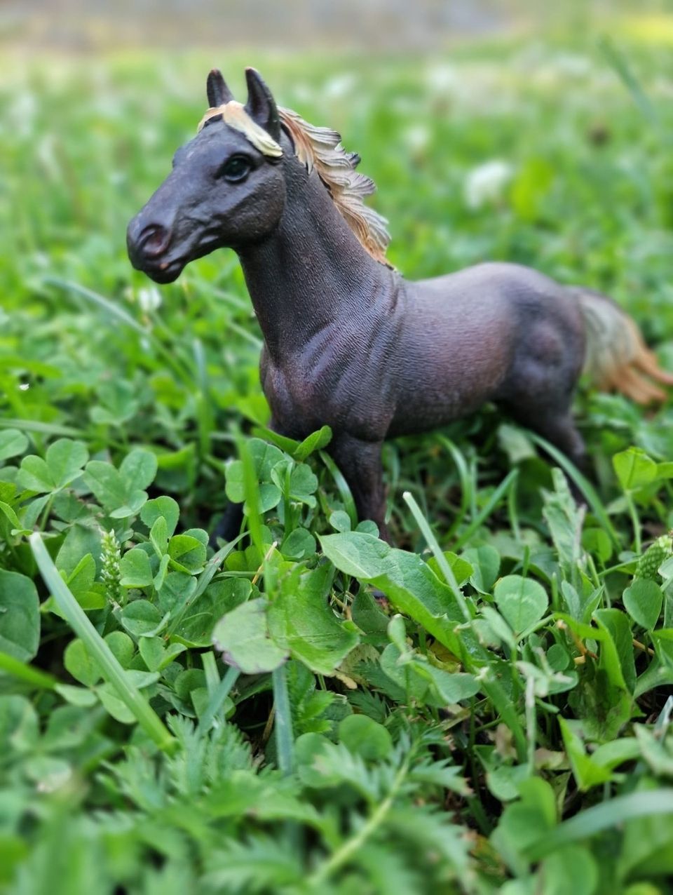 Schleich Hevonen