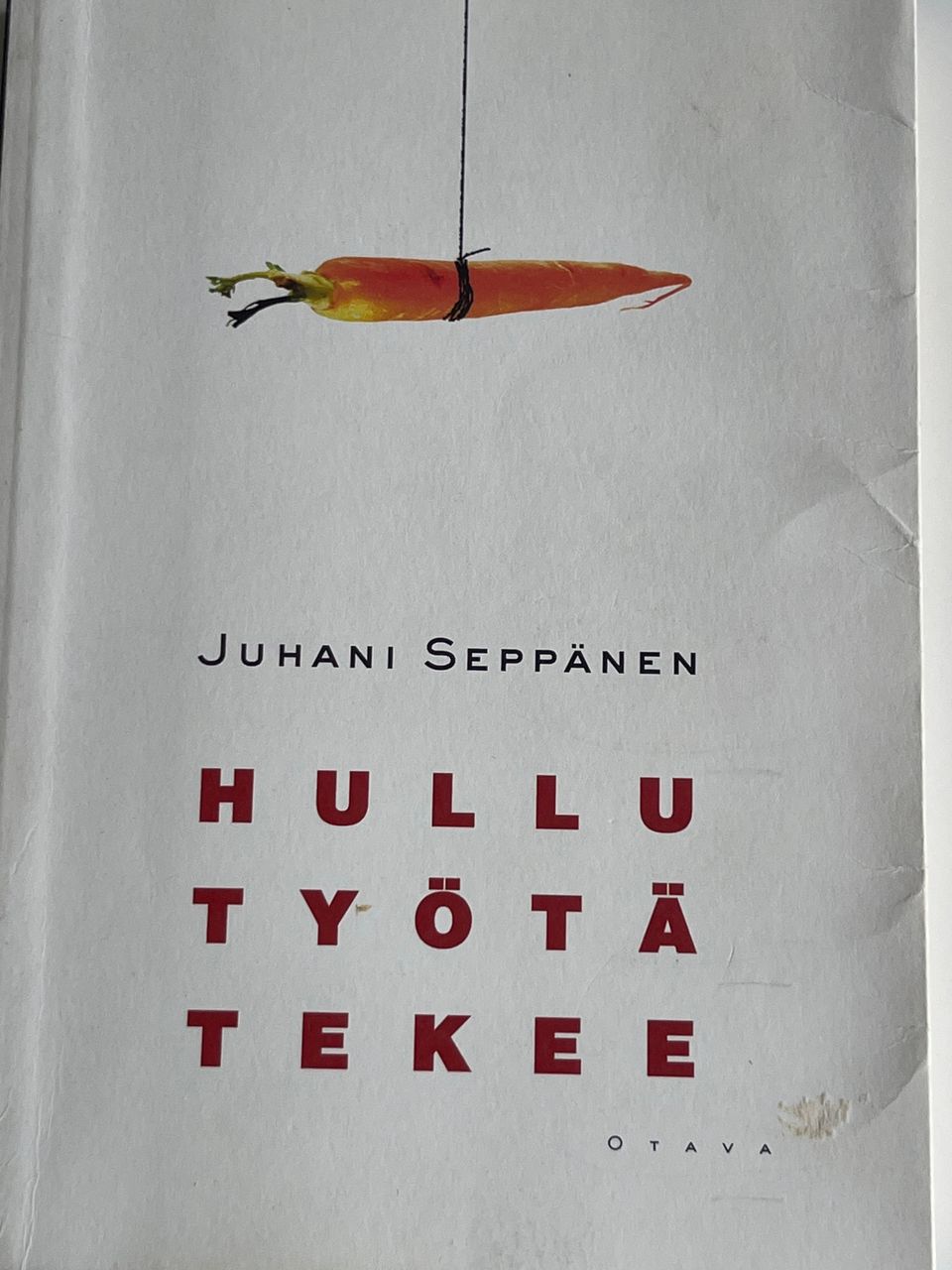 Hullu Työtä Tekee. Juhani Seppänen