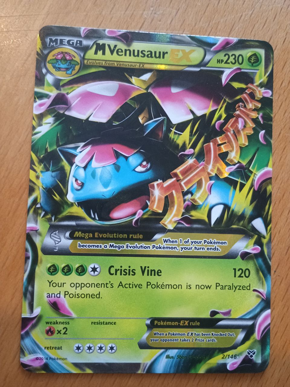 M Venusaur EX holo 2/146