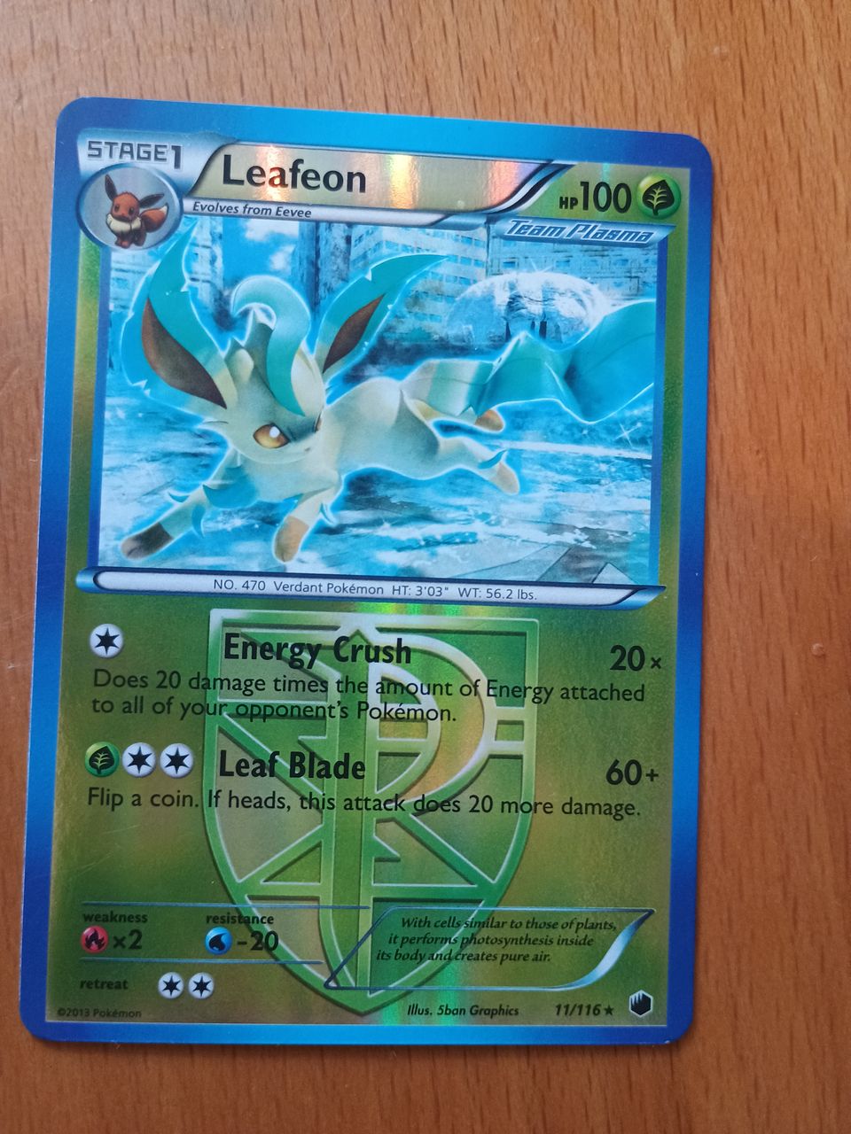 Leafeon Reverse holo 11/116