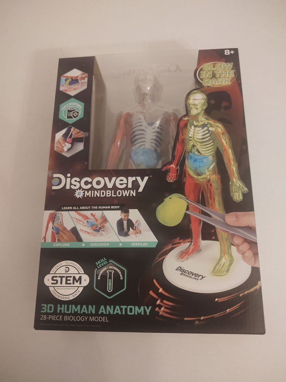 3d anatomian nukke