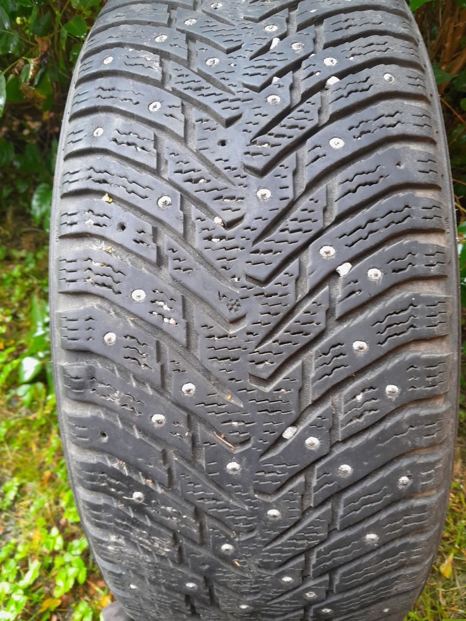 1 kpl. Hakkapeliitta 8 225/50R17