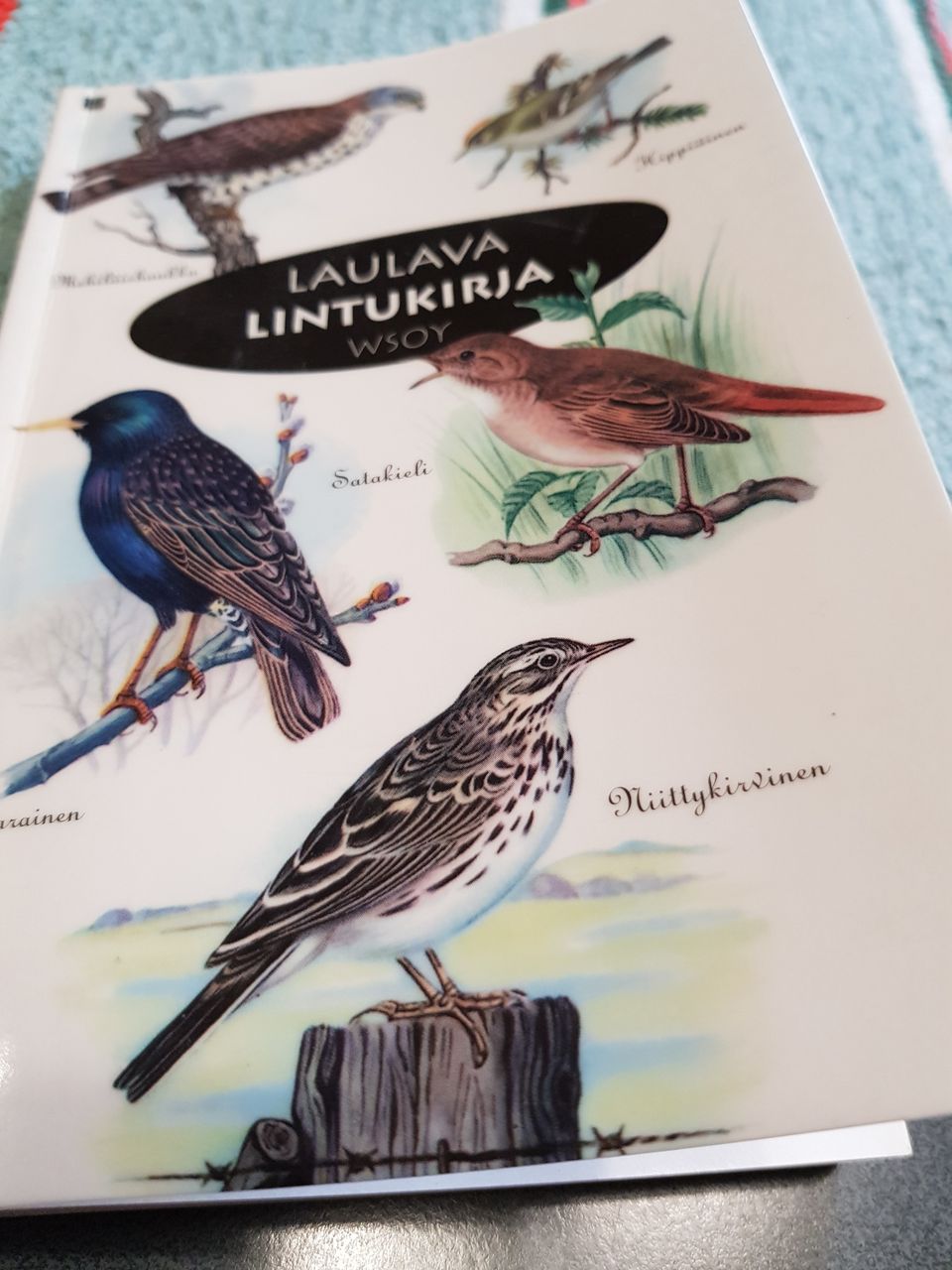 Laulava lintukirja.  Ilman cd-levyä.