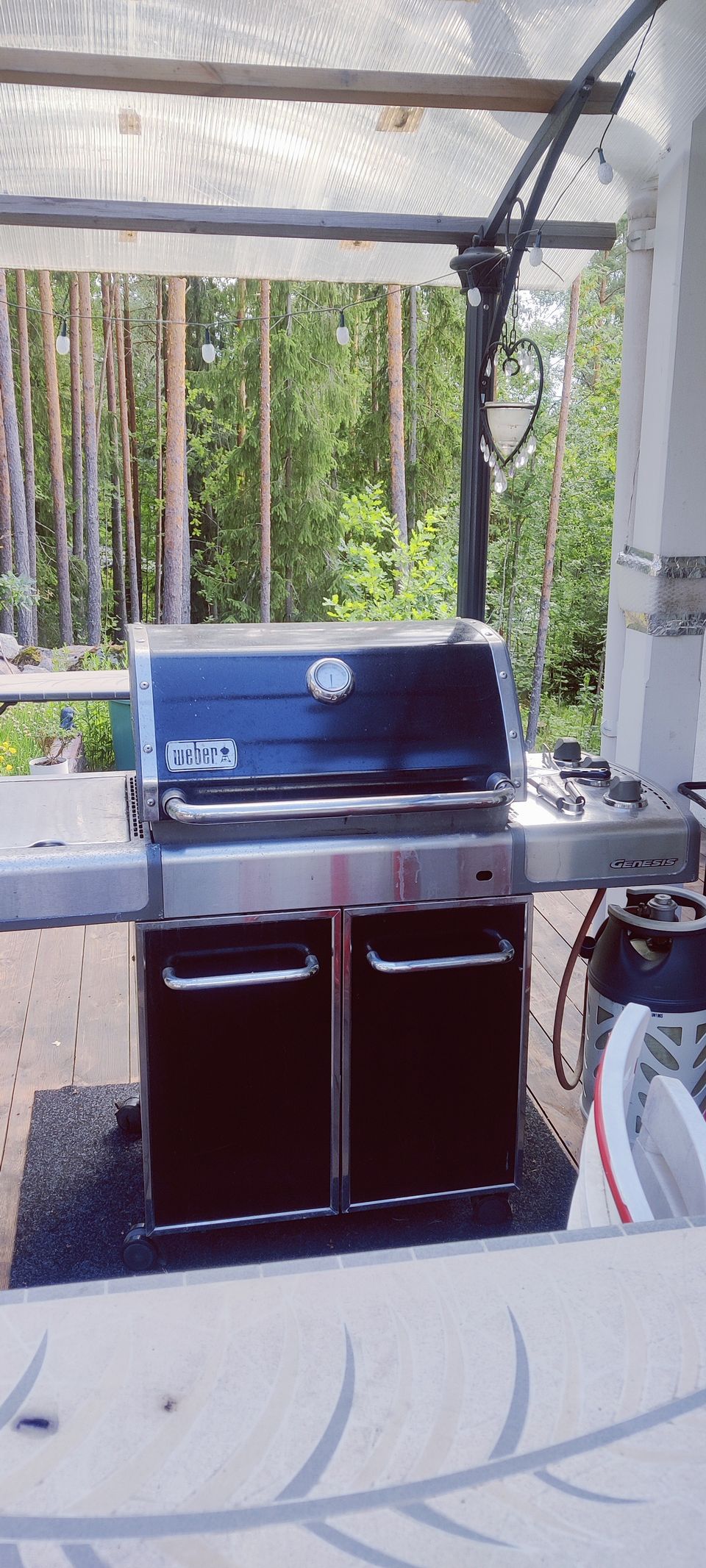 Weber Genesis 320