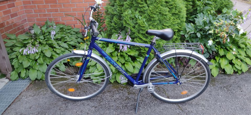 Miesten polkypyörä 28"