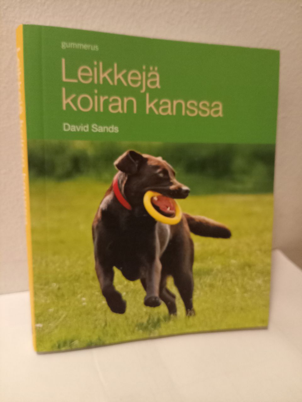 Leikkejä koiran kanssa